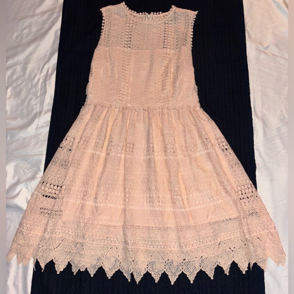 BB Dakota Other - BB Dakota Lace Dress in Light Pink